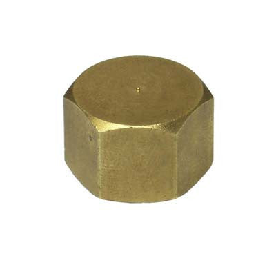 Radex 04-913 brass cap for unused outlets on 2 and 6 outlet filters